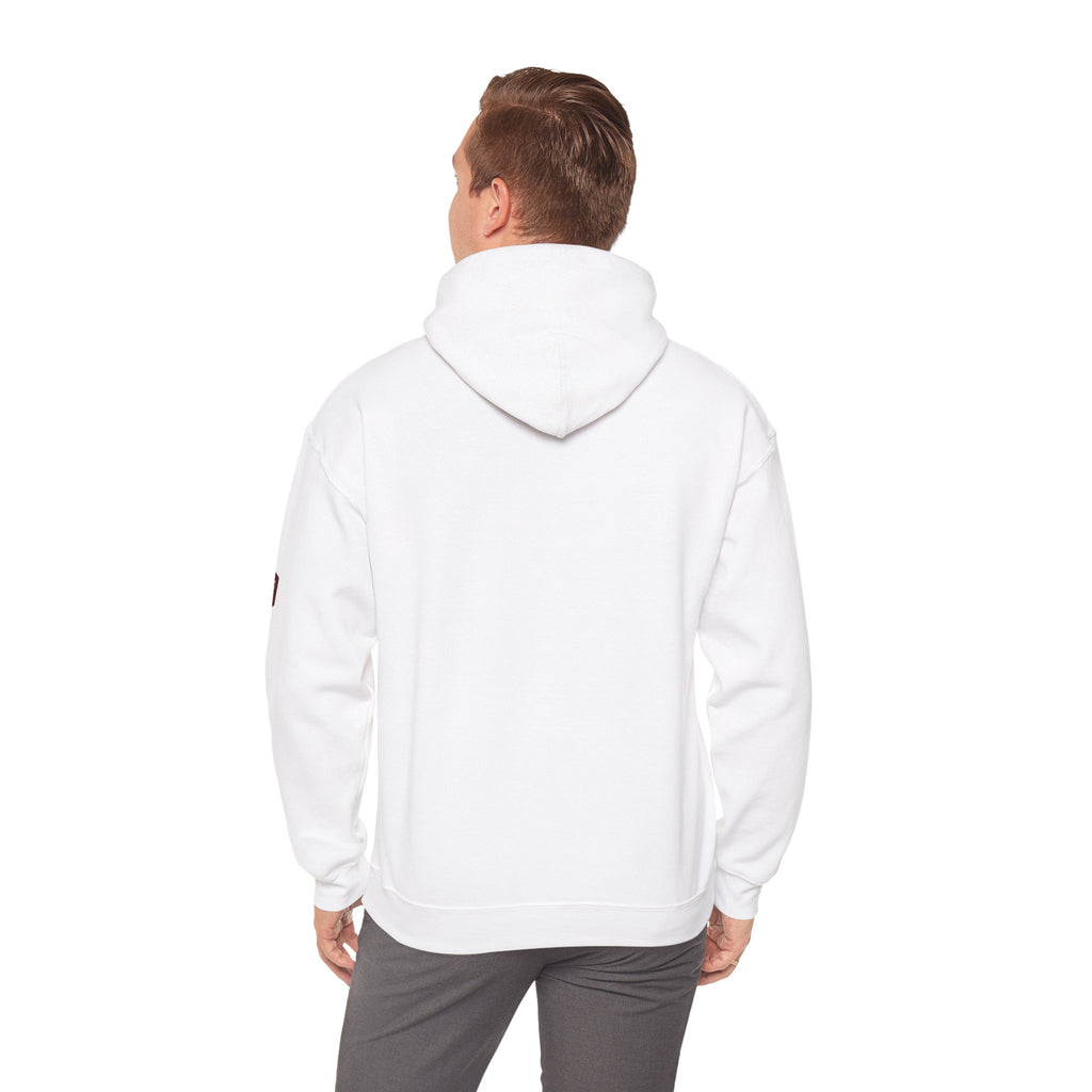 Unisex Prism Diamond "Let There Be Light" Hoodie | Rainbow Spectrum Prism Hooded Sweatshirt