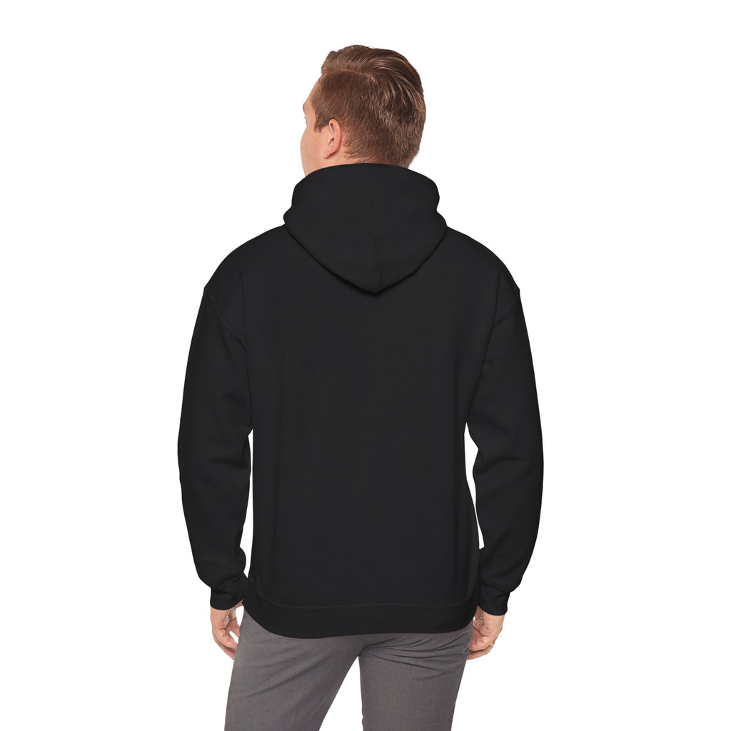 Unisex Prism Diamond "Let There Be Light" Hoodie | Rainbow Spectrum Prism Hooded Sweatshirt