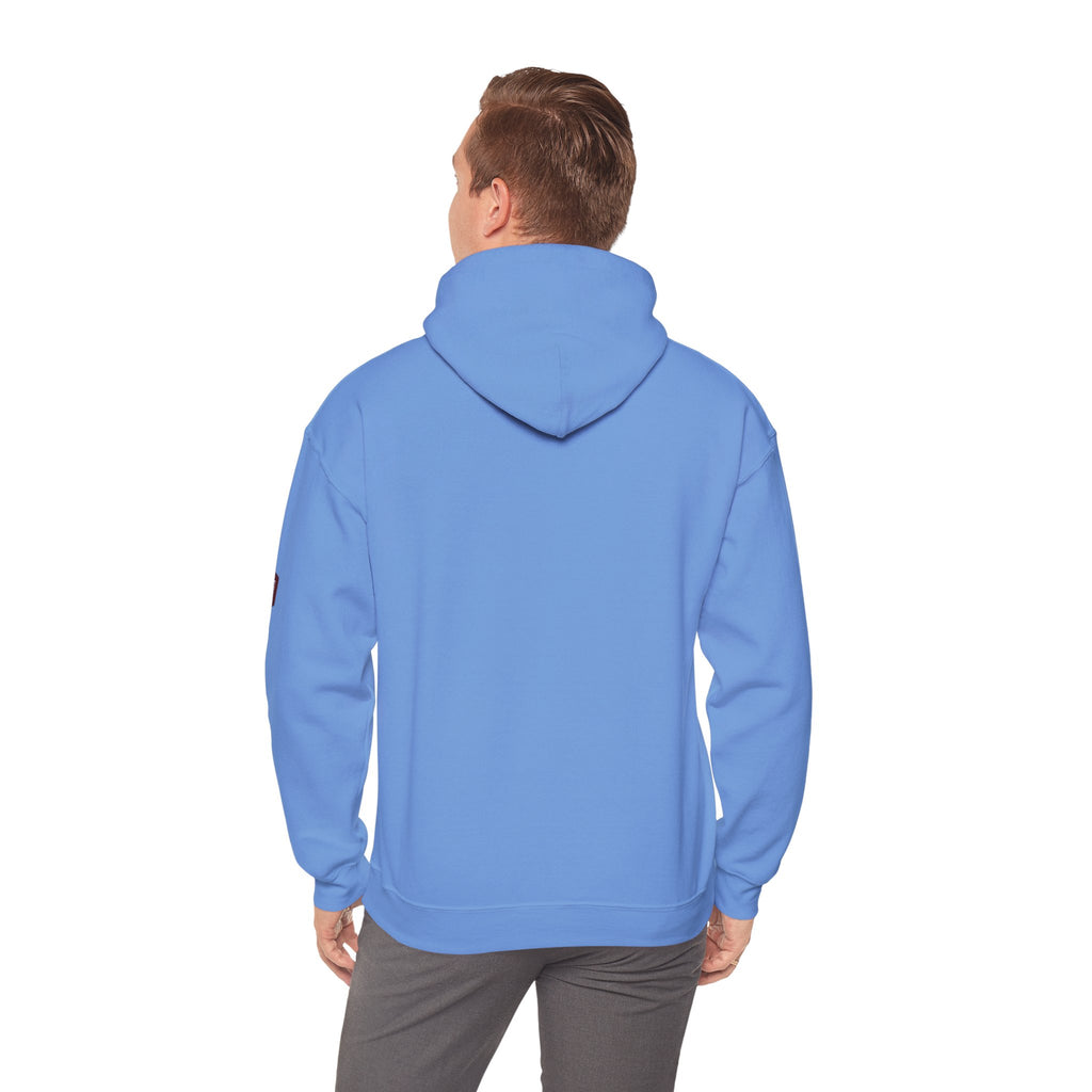 Unisex Prism Diamond "Let There Be Light" Hoodie | Rainbow Spectrum Prism Hooded Sweatshirt
