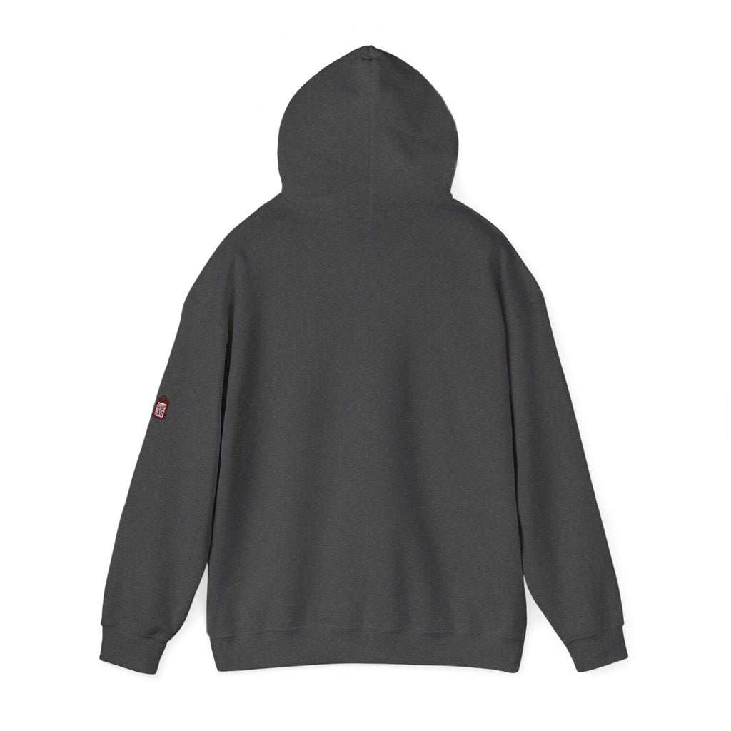 Unisex Prism Diamond "Let There Be Light" Hoodie | Rainbow Spectrum Prism Hooded Sweatshirt