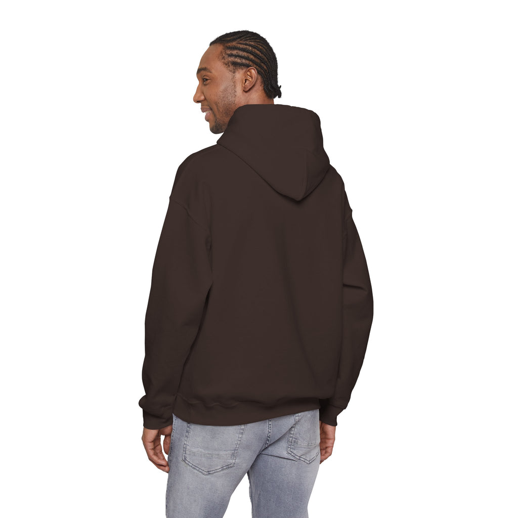 Unisex Prism Diamond "Let There Be Light" Hoodie | Rainbow Spectrum Prism Hooded Sweatshirt