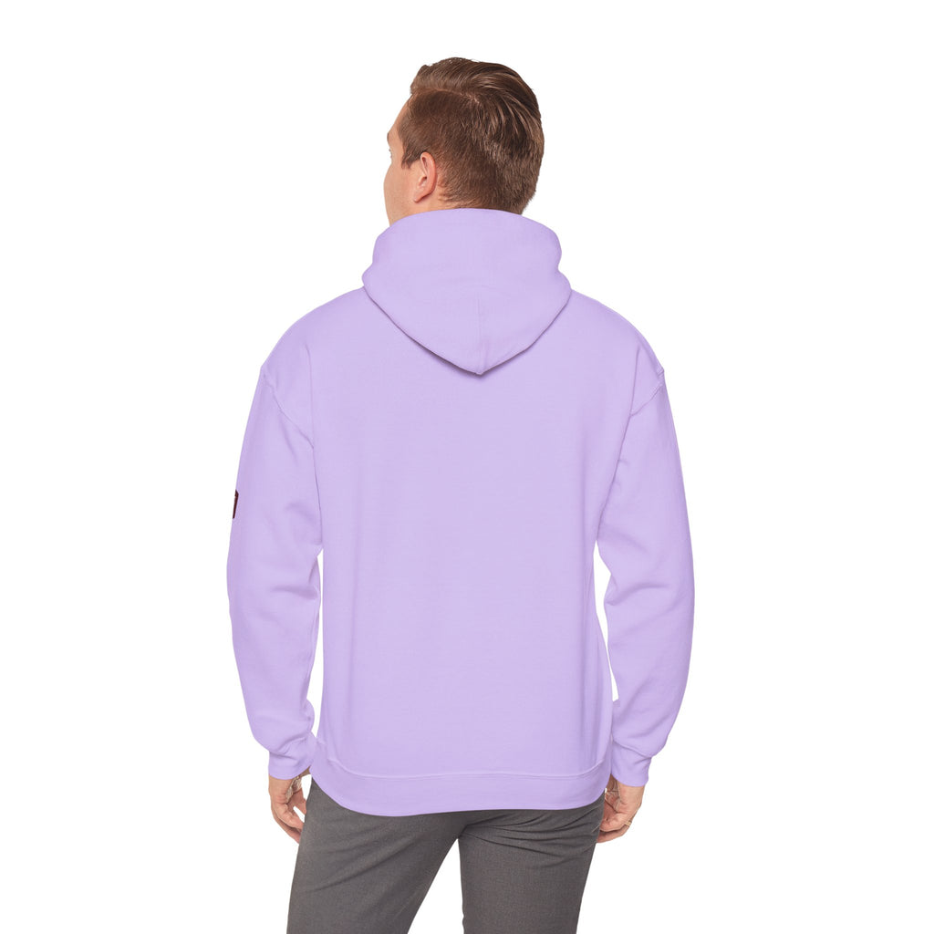 Unisex Prism Diamond "Let There Be Light" Hoodie | Rainbow Spectrum Prism Hooded Sweatshirt