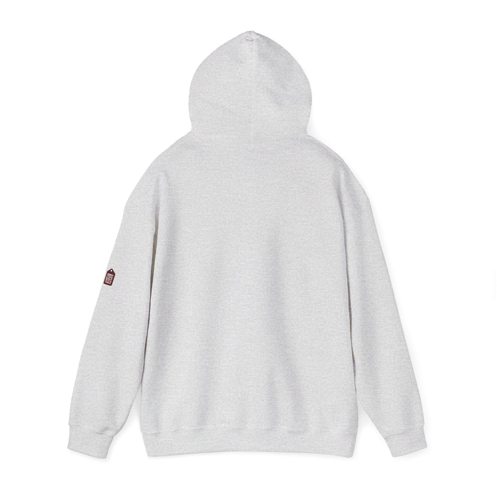 Unisex Prism Diamond "Let There Be Light" Hoodie | Rainbow Spectrum Prism Hooded Sweatshirt