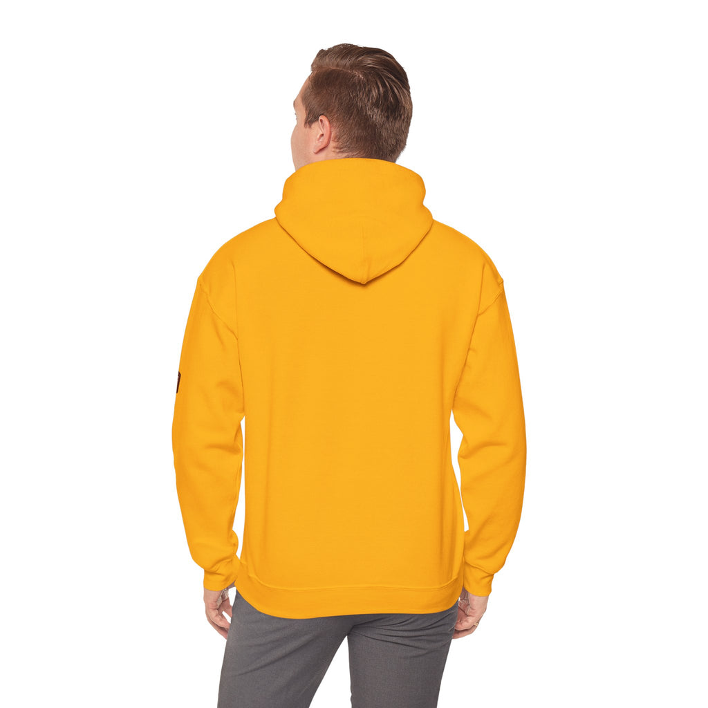 Unisex Prism Diamond "Let There Be Light" Hoodie | Rainbow Spectrum Prism Hooded Sweatshirt