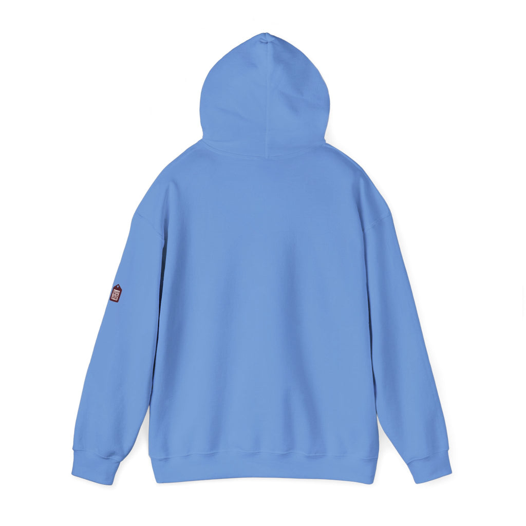 Unisex Prism Diamond "Let There Be Light" Hoodie | Rainbow Spectrum Prism Hooded Sweatshirt