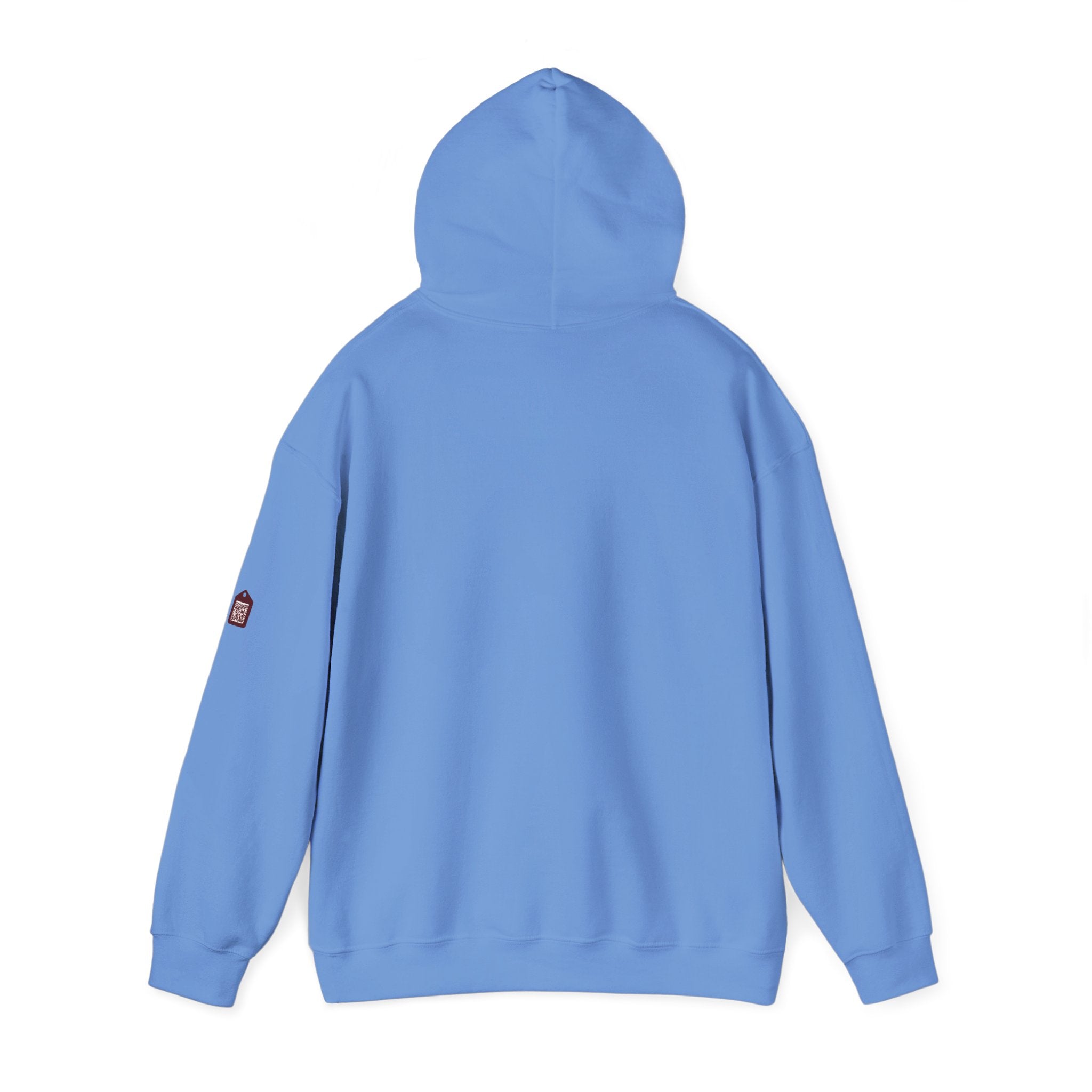 Unisex Prism Diamond "Let There Be Light" Hoodie | Rainbow Spectrum Prism Hooded Sweatshirt