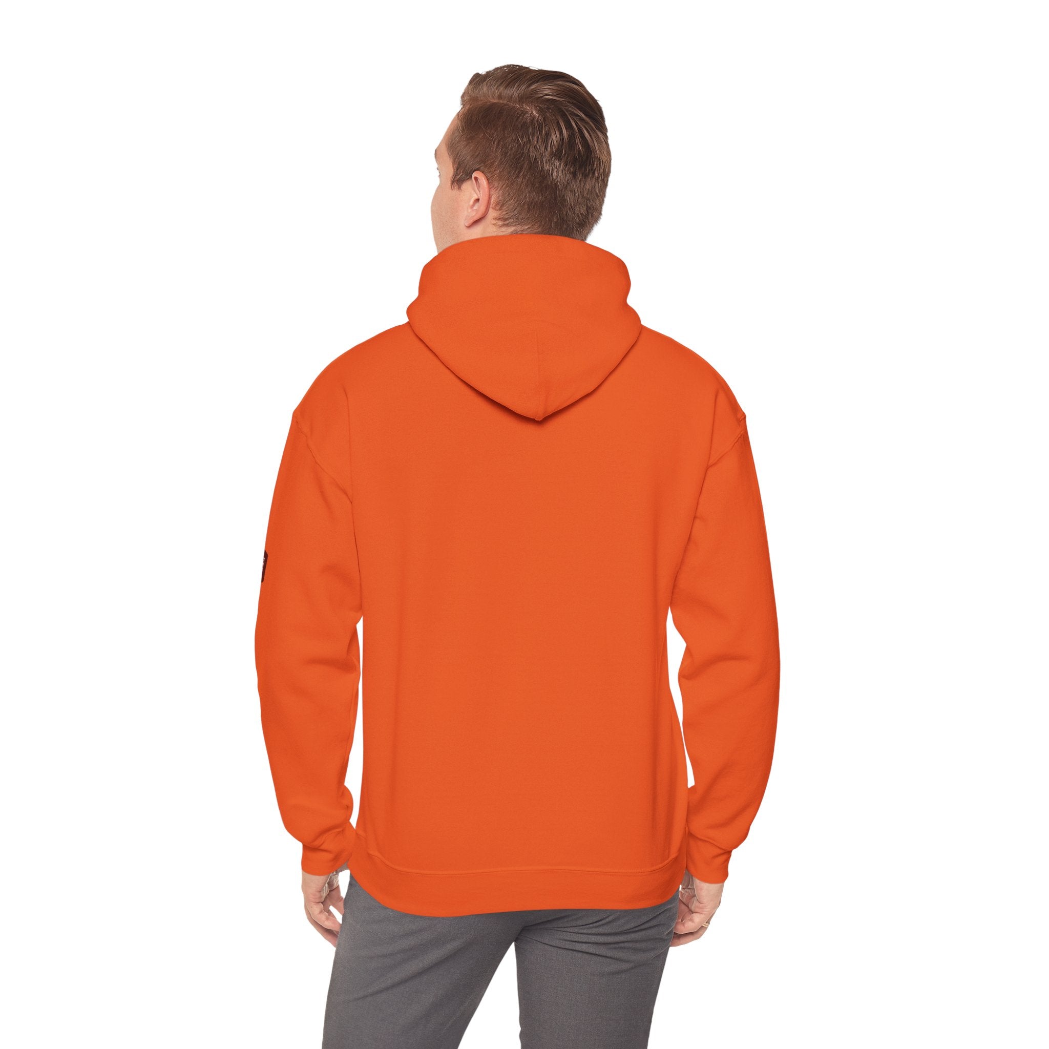 Unisex Prism Diamond "Let There Be Light" Hoodie | Rainbow Spectrum Prism Hooded Sweatshirt
