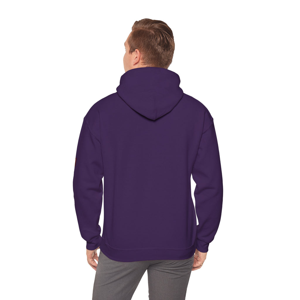 Unisex Prism Diamond "Let There Be Light" Hoodie | Rainbow Spectrum Prism Hooded Sweatshirt