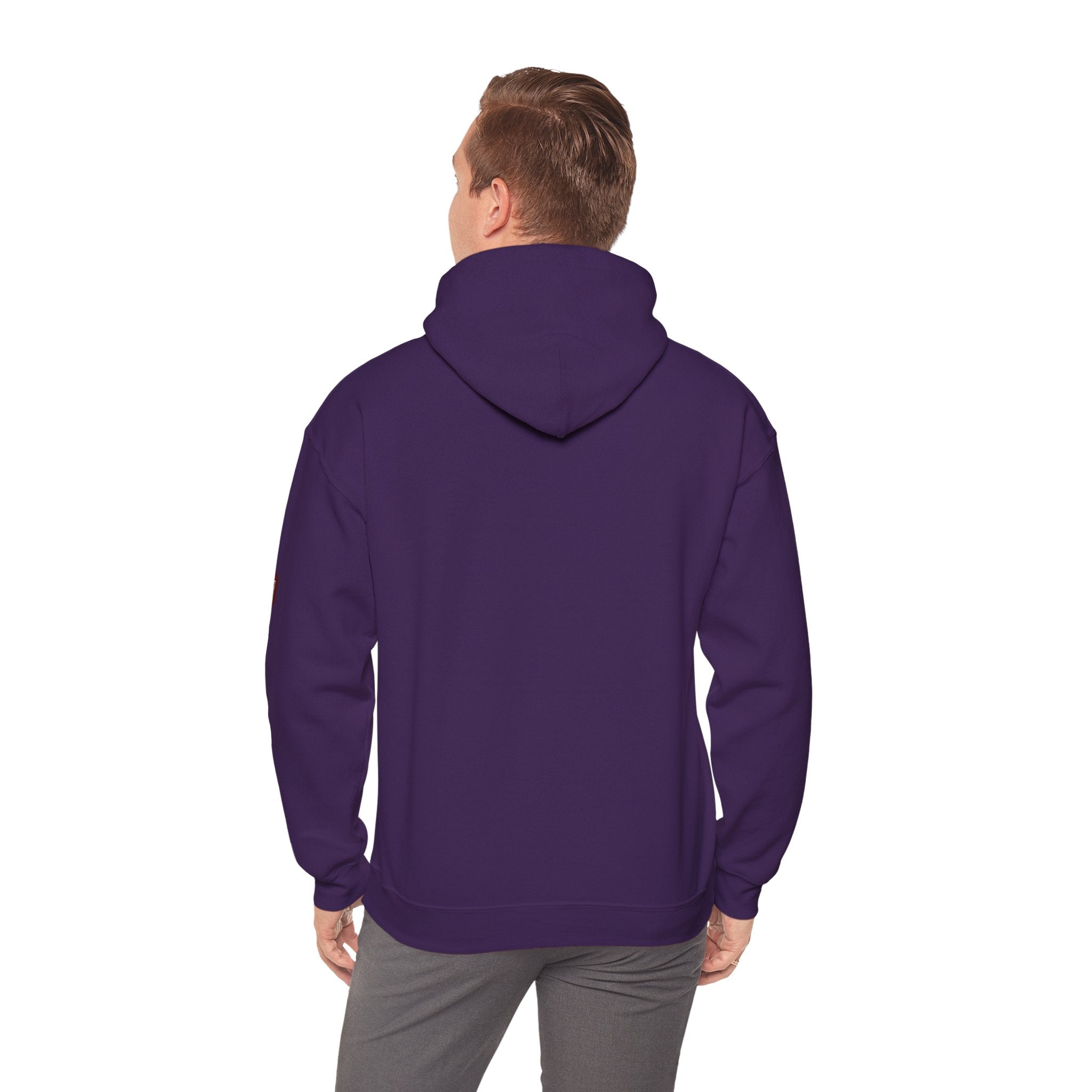 Unisex Prism Diamond "Let There Be Light" Hoodie | Rainbow Spectrum Prism Hooded Sweatshirt