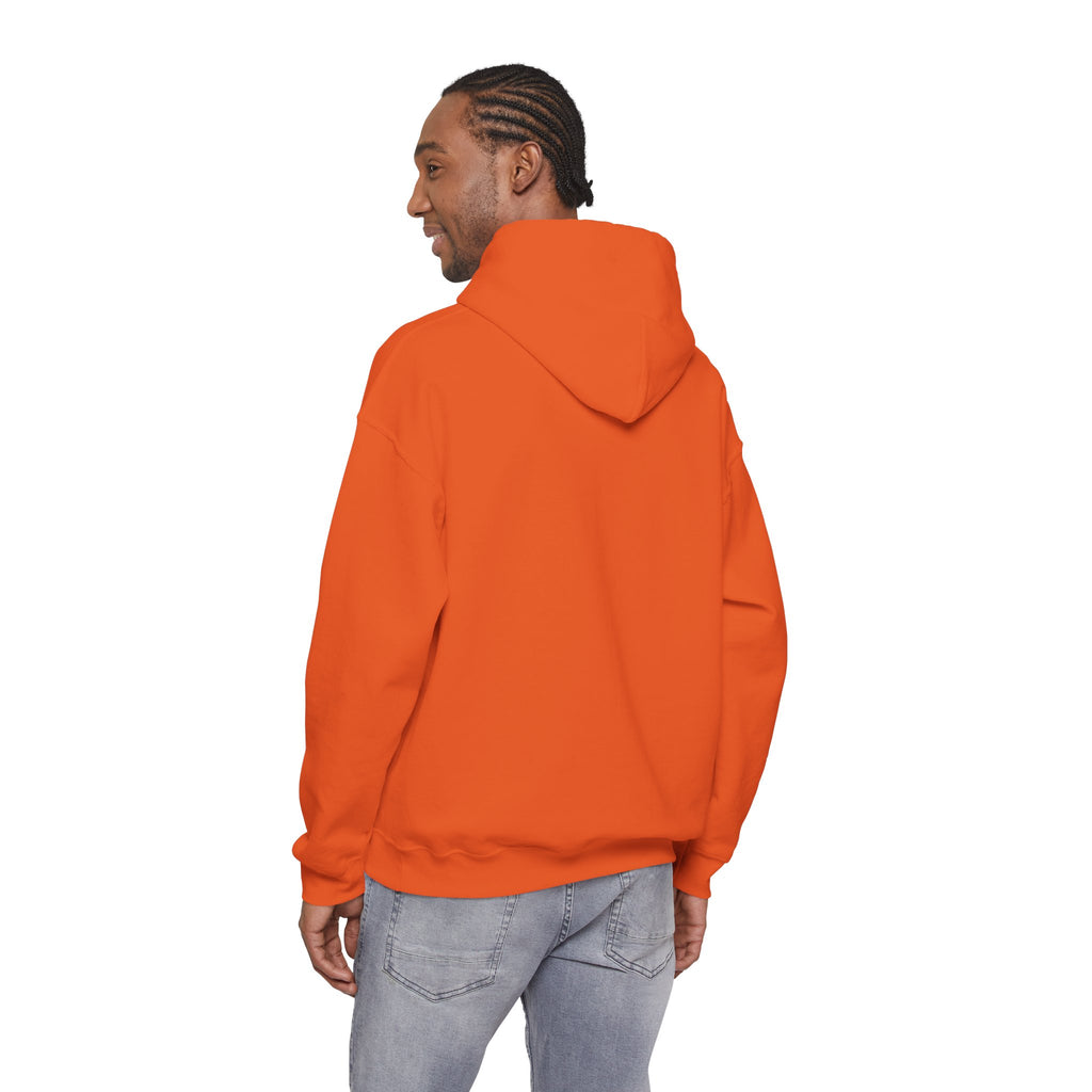 Unisex Prism Diamond "Let There Be Light" Hoodie | Rainbow Spectrum Prism Hooded Sweatshirt