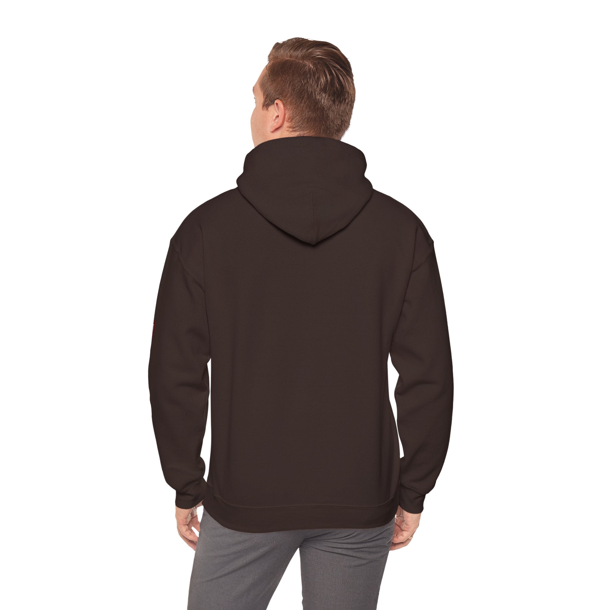 Unisex Prism Diamond "Let There Be Light" Hoodie | Rainbow Spectrum Prism Hooded Sweatshirt