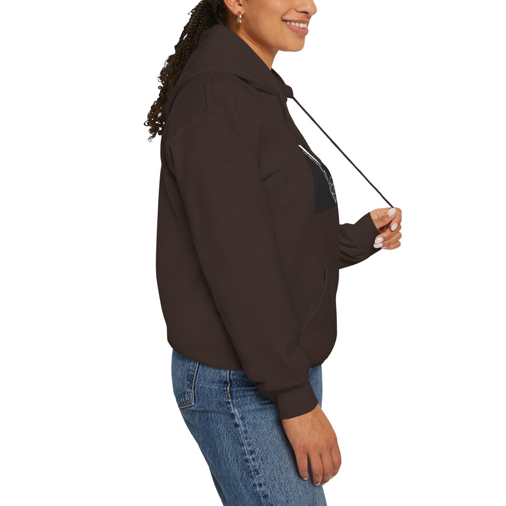 Unisex Prism Diamond "Let There Be Light" Hoodie | Rainbow Spectrum Prism Hooded Sweatshirt