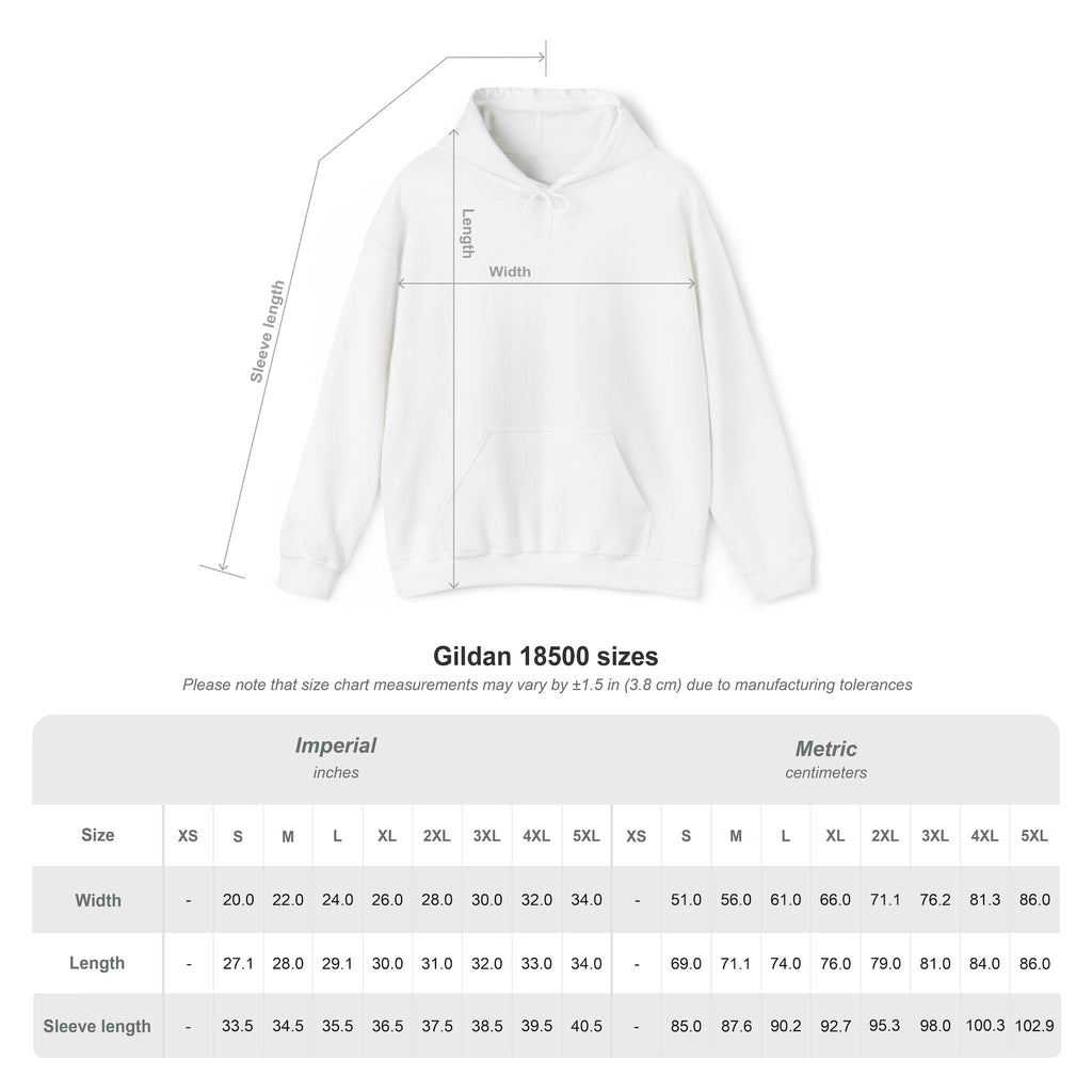 Unisex Prism Diamond "Let There Be Light" Hoodie | Rainbow Spectrum Prism Hooded Sweatshirt