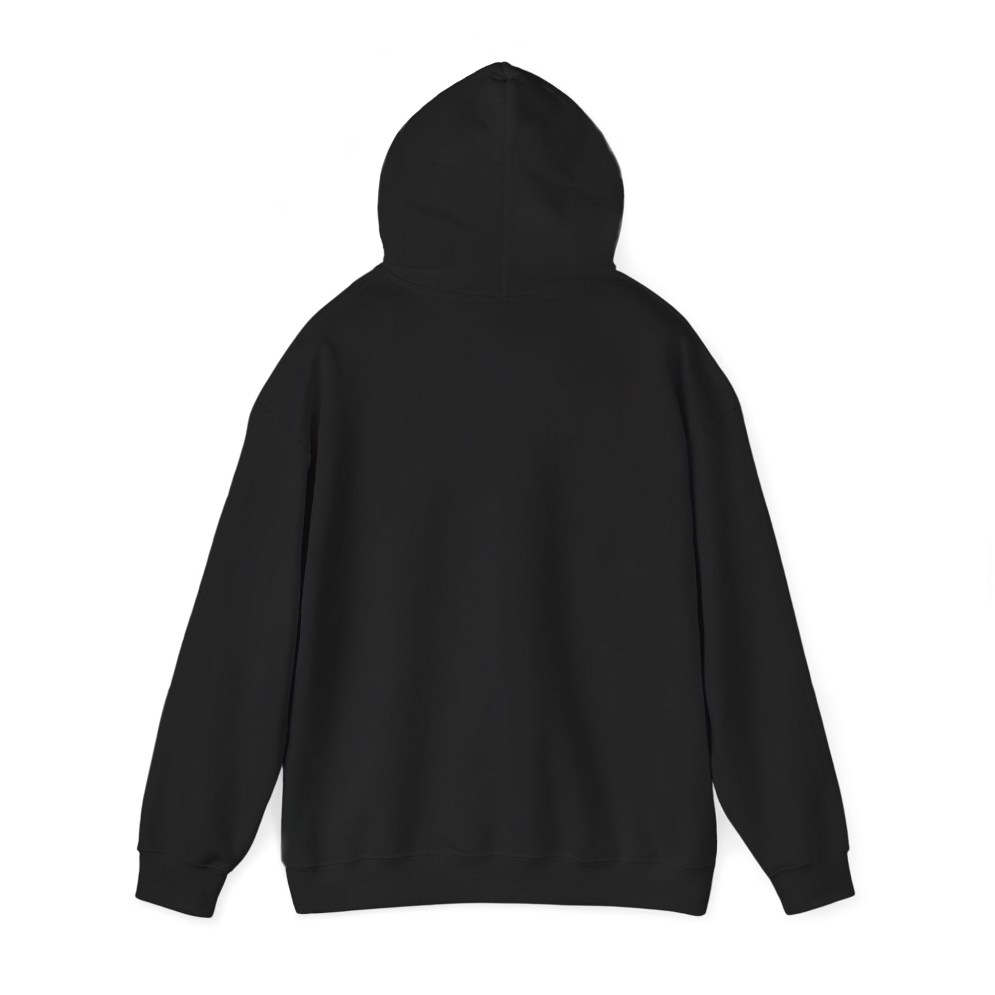 Unisex Prism Diamond "Let There Be Light" Hoodie | Rainbow Spectrum Prism Hooded Sweatshirt