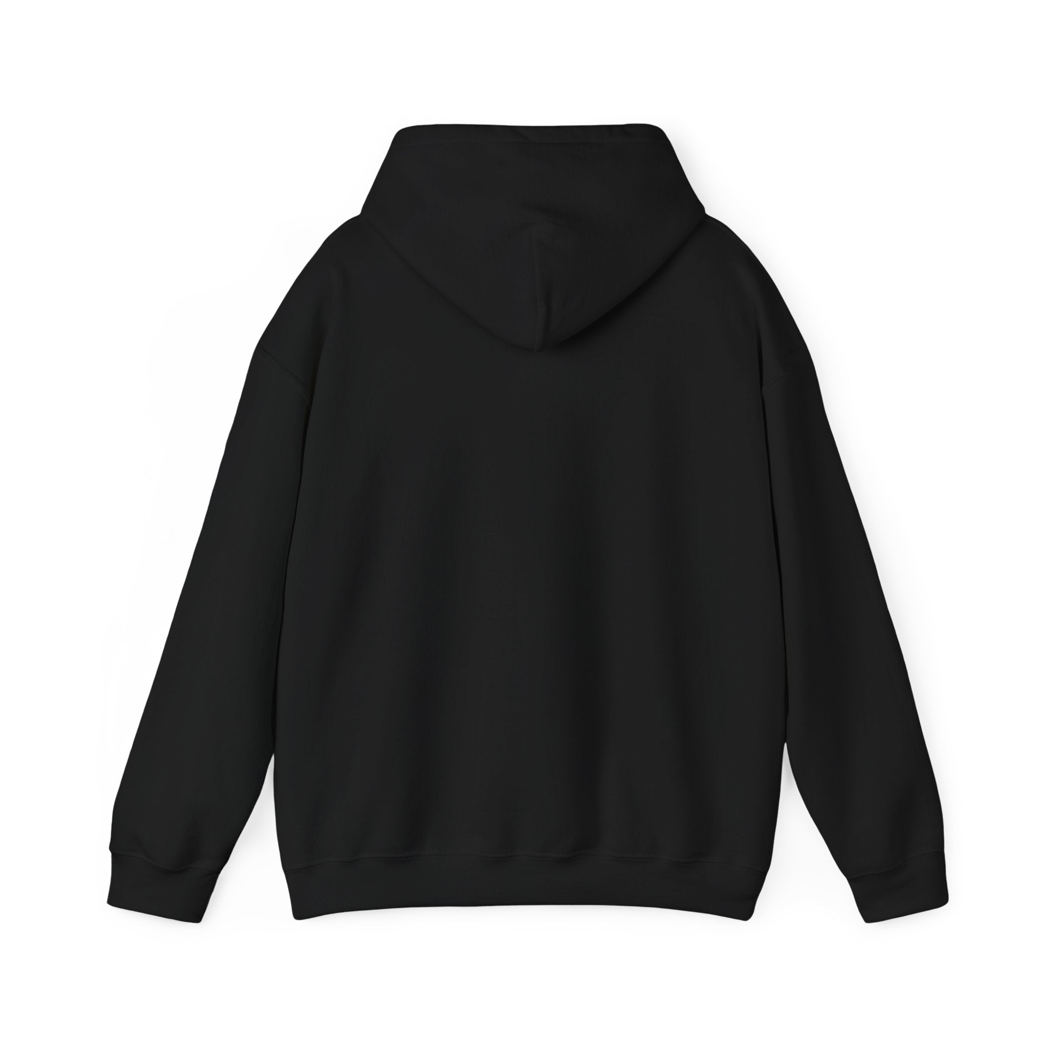 Unisex Prism Diamond "Let There Be Light" Hoodie | Rainbow Spectrum Prism Hooded Sweatshirt