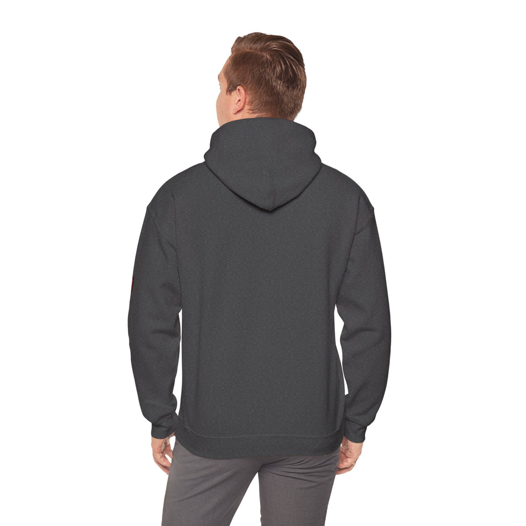 Unisex Prism Diamond "Let There Be Light" Hoodie | Rainbow Spectrum Prism Hooded Sweatshirt