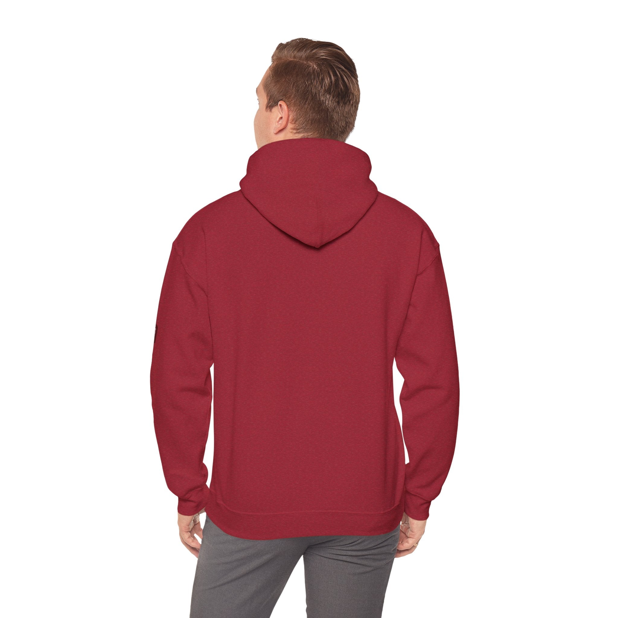 Unisex Prism Diamond "Let There Be Light" Hoodie | Rainbow Spectrum Prism Hooded Sweatshirt
