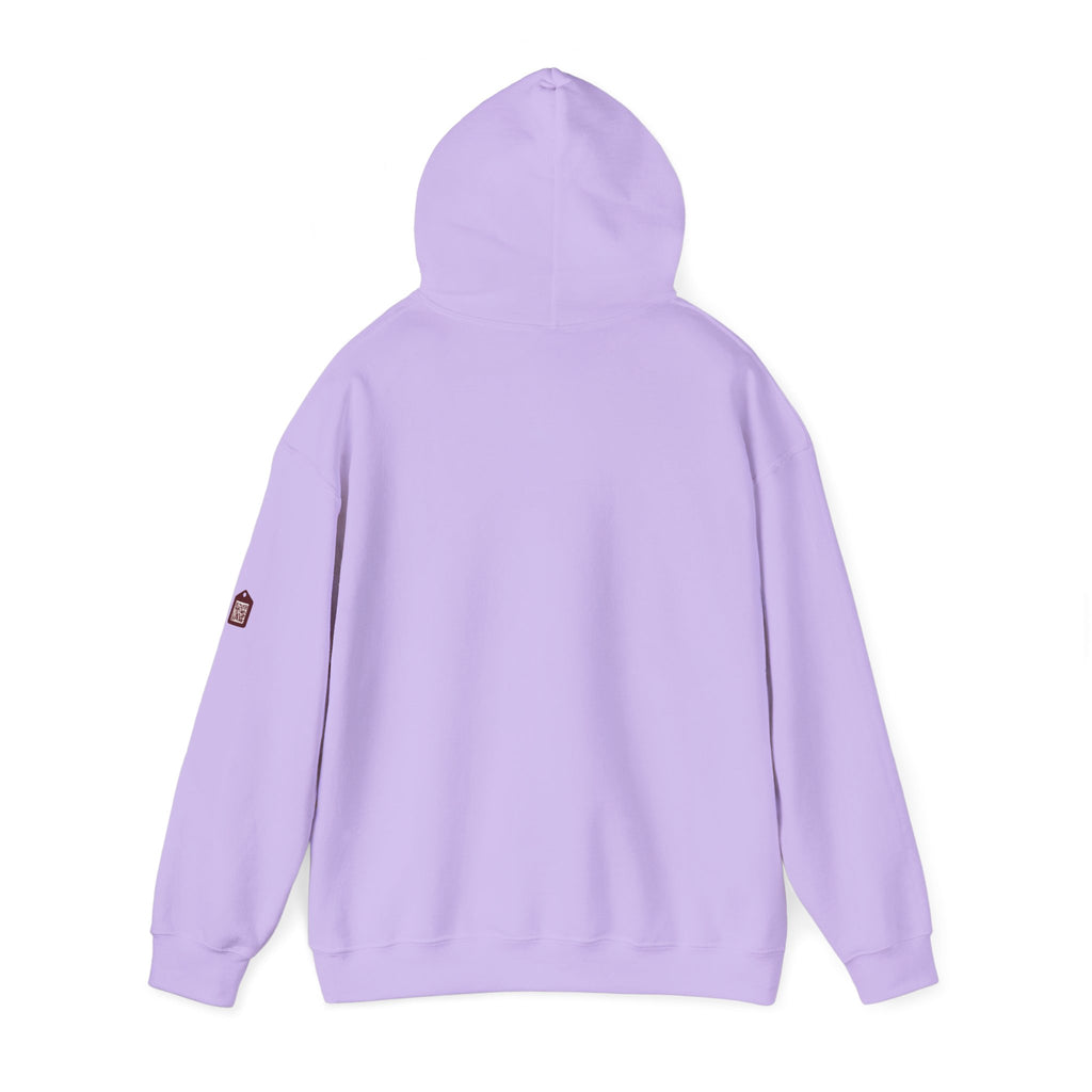Unisex Prism Diamond "Let There Be Light" Hoodie | Rainbow Spectrum Prism Hooded Sweatshirt