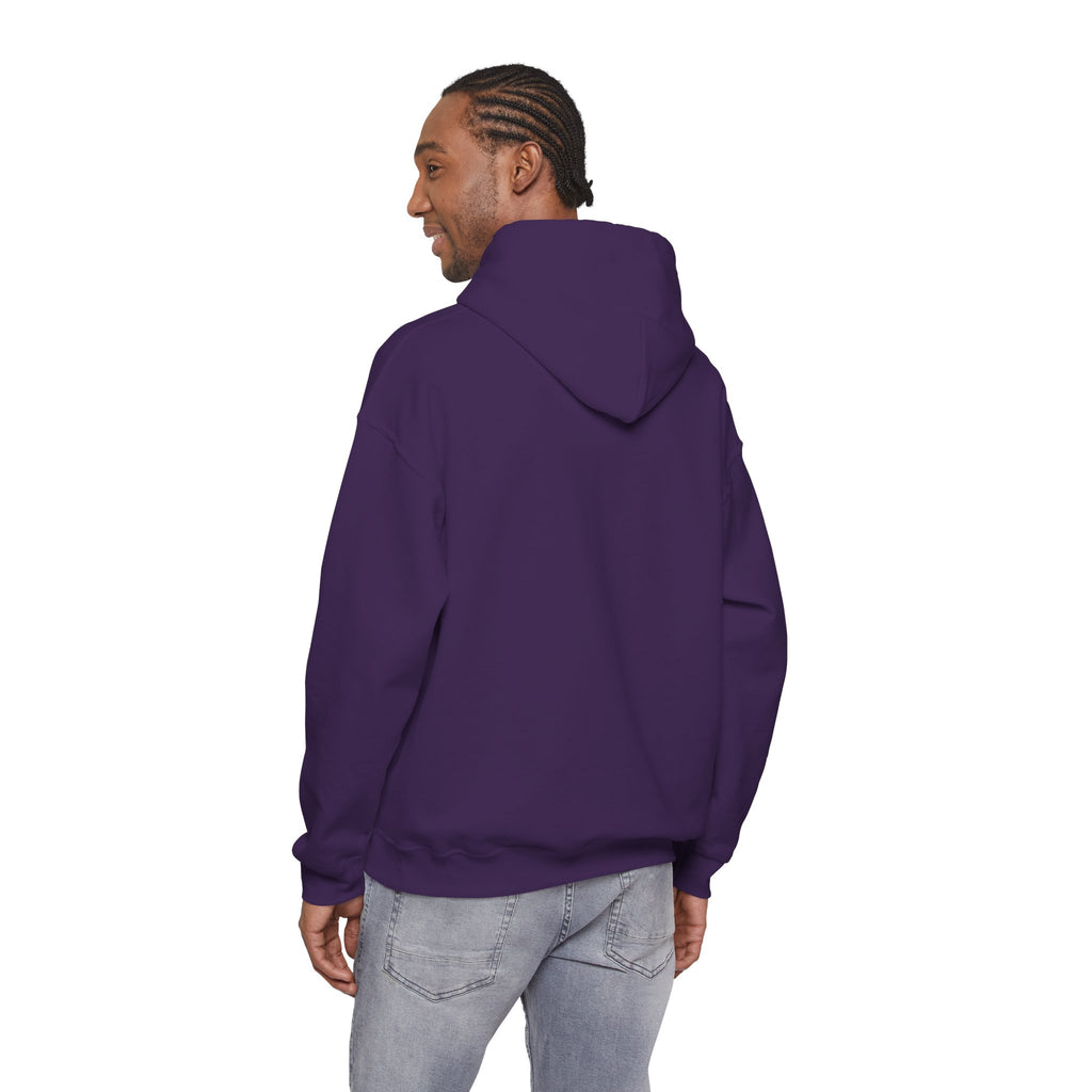 Unisex Prism Diamond "Let There Be Light" Hoodie | Rainbow Spectrum Prism Hooded Sweatshirt