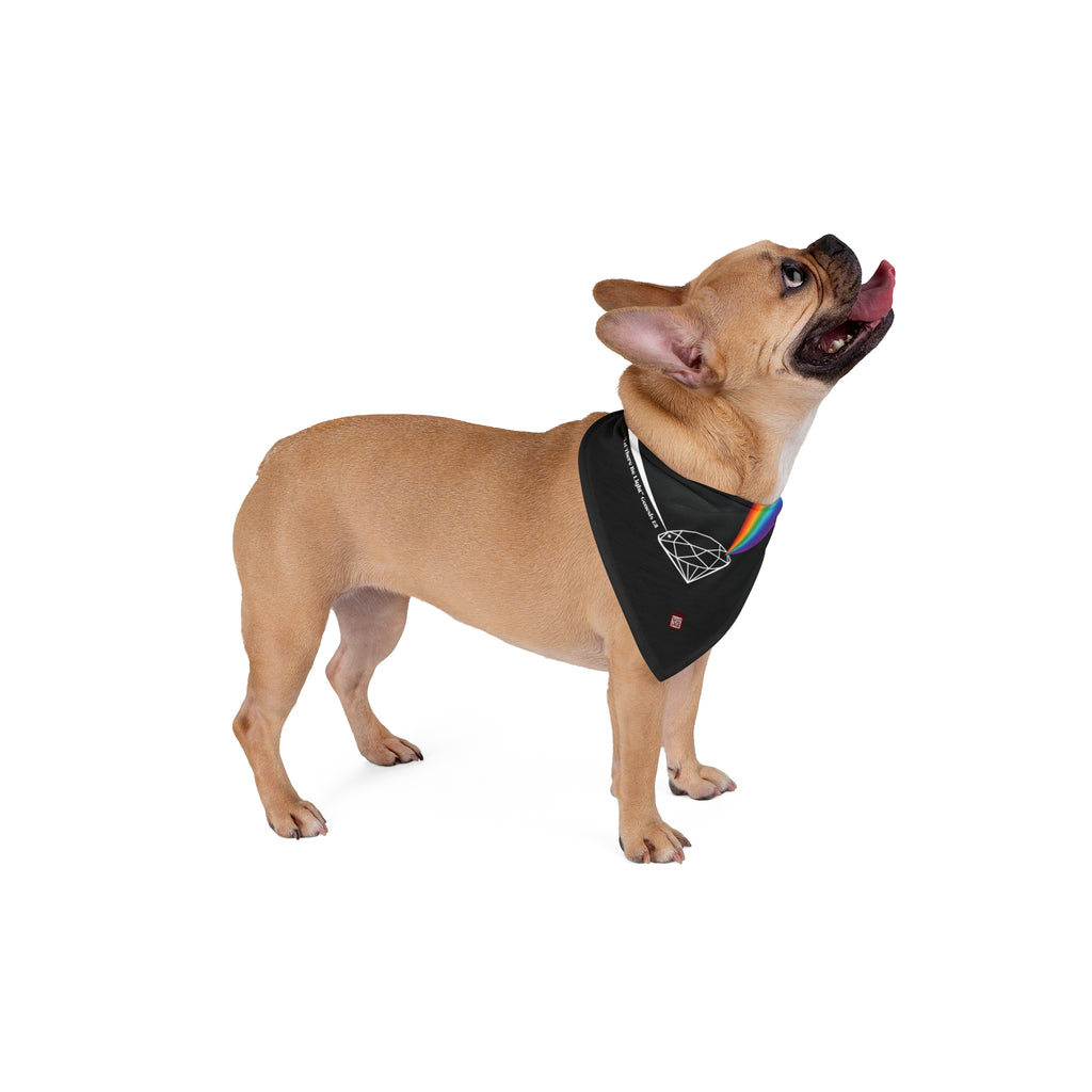 Prism Diamond Pet Bandana — Rainbow Light Dog & Cat Scarf