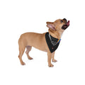 Prism Diamond Pet Bandana — Rainbow Light Dog & Cat Scarf