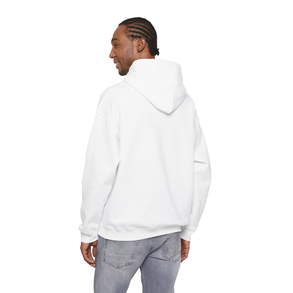 Unisex Prism Diamond "Let There Be Light" Hoodie | Rainbow Spectrum Prism Hooded Sweatshirt