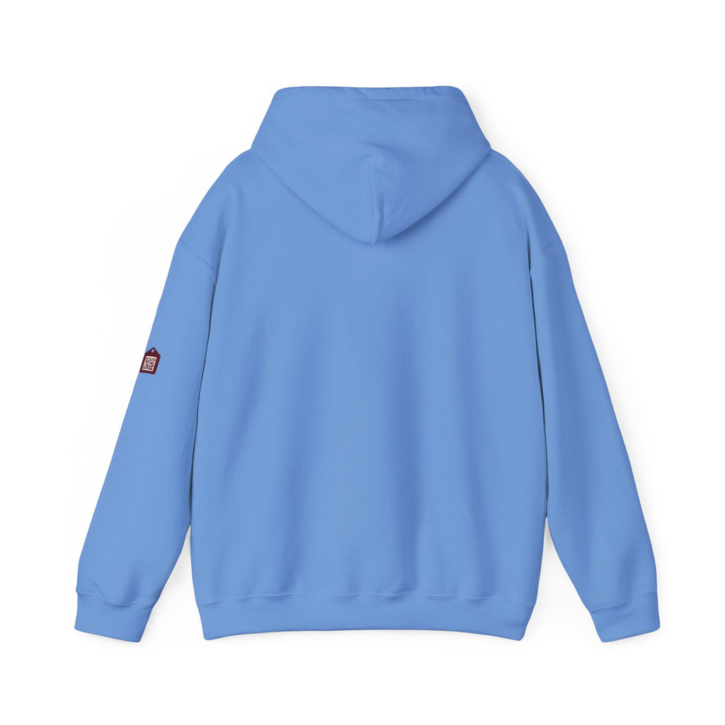 Unisex Prism Diamond "Let There Be Light" Hoodie | Rainbow Spectrum Prism Hooded Sweatshirt