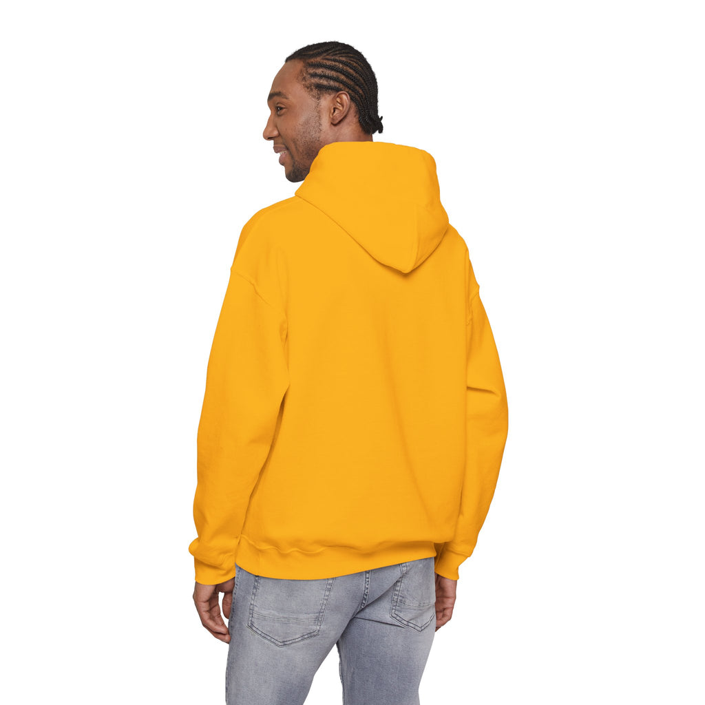 Unisex Prism Diamond "Let There Be Light" Hoodie | Rainbow Spectrum Prism Hooded Sweatshirt