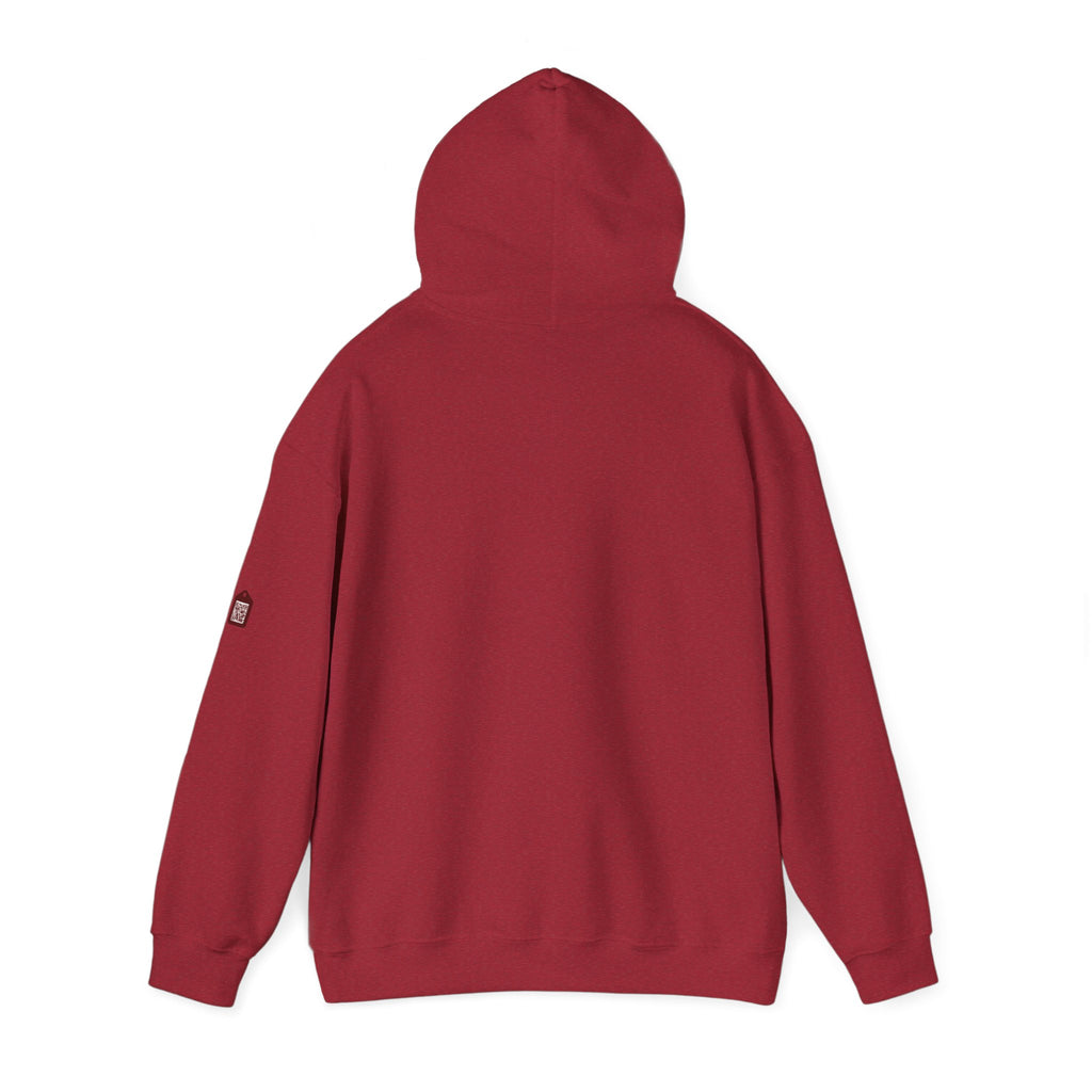 Unisex Prism Diamond "Let There Be Light" Hoodie | Rainbow Spectrum Prism Hooded Sweatshirt