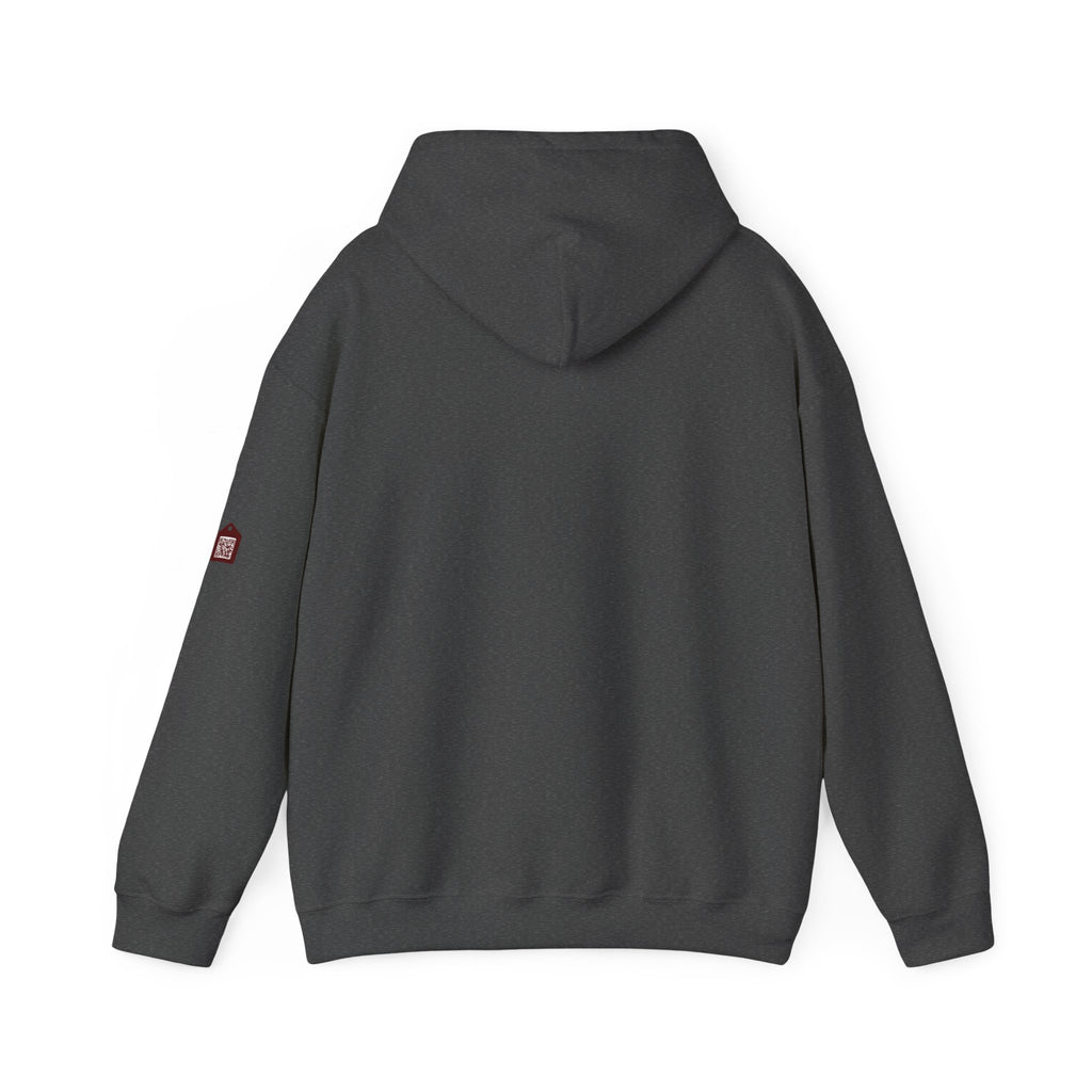 Unisex Prism Diamond "Let There Be Light" Hoodie | Rainbow Spectrum Prism Hooded Sweatshirt