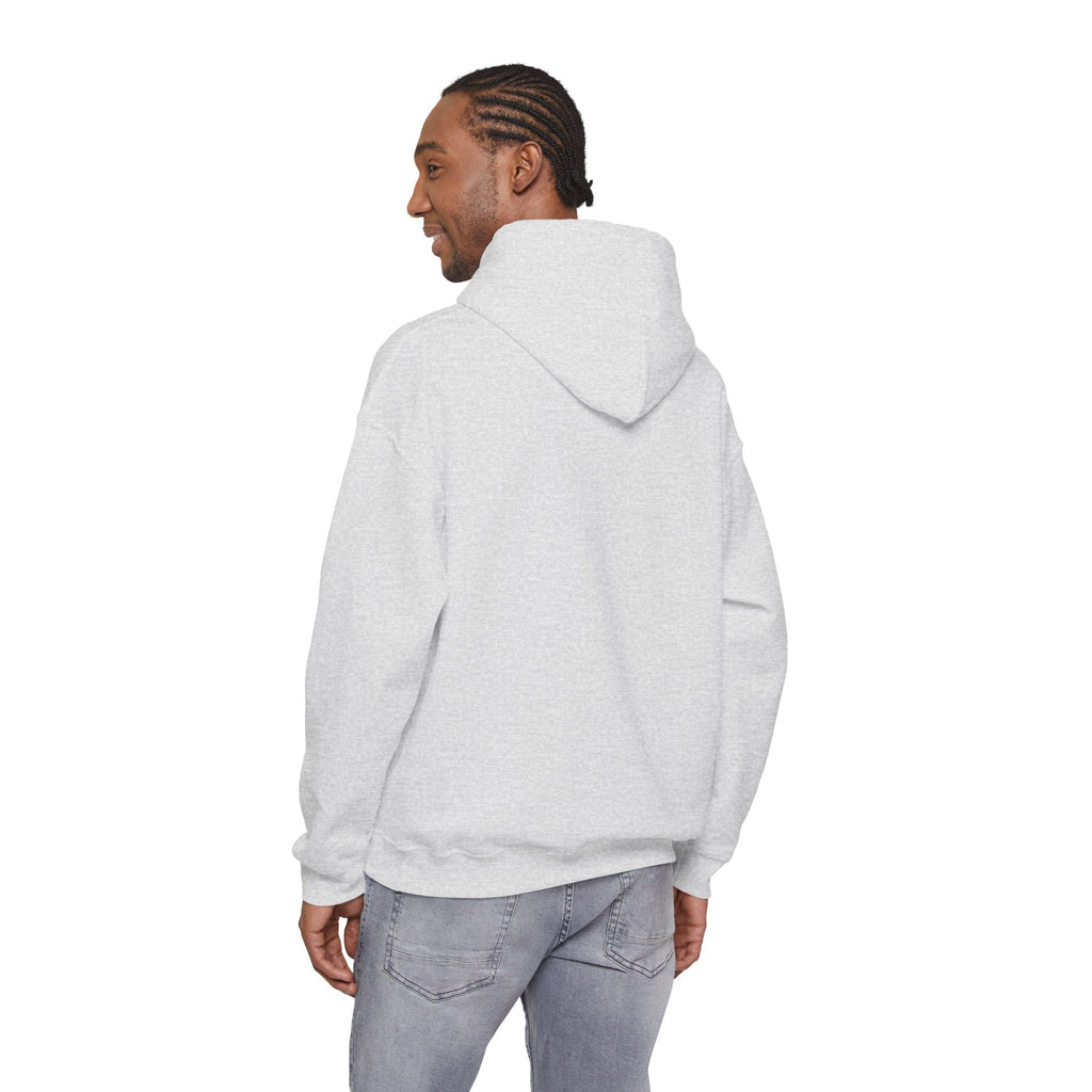 Unisex Prism Diamond "Let There Be Light" Hoodie | Rainbow Spectrum Prism Hooded Sweatshirt