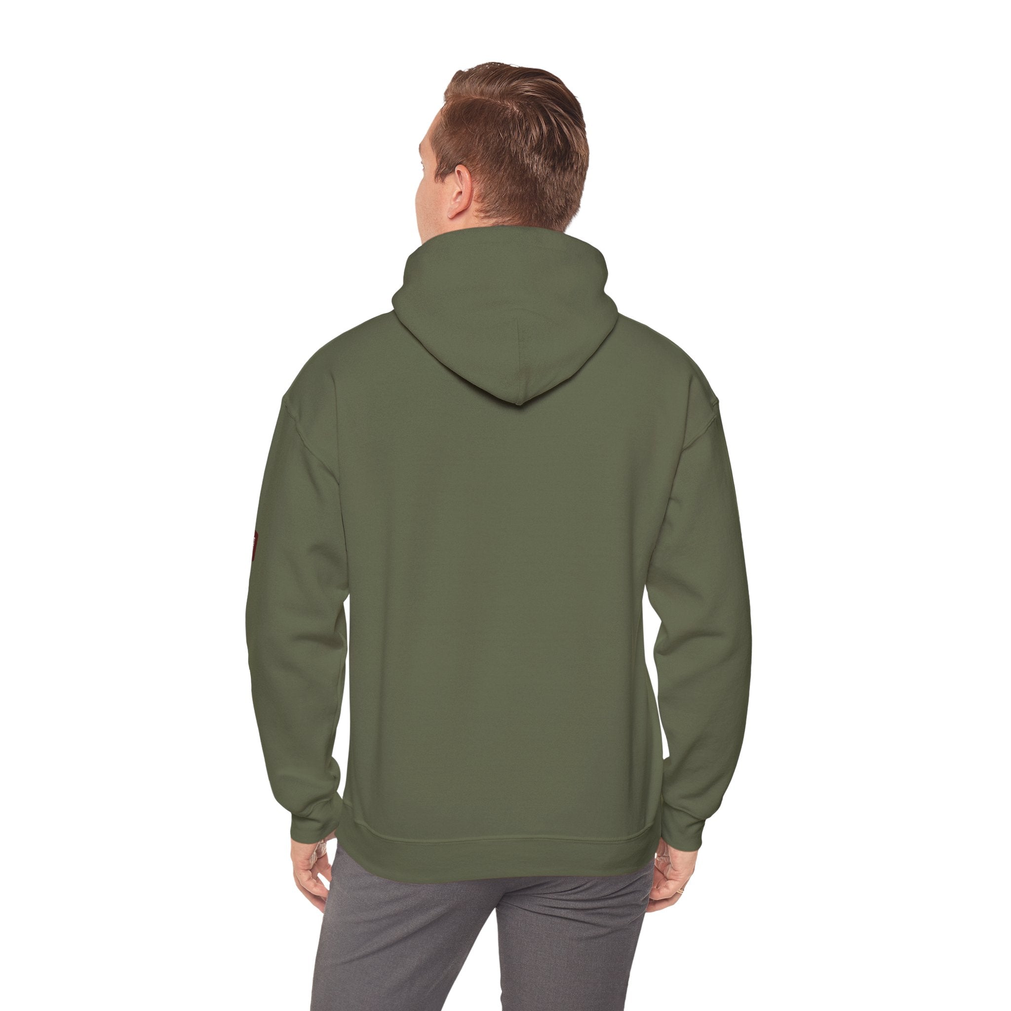 Unisex Prism Diamond "Let There Be Light" Hoodie | Rainbow Spectrum Prism Hooded Sweatshirt