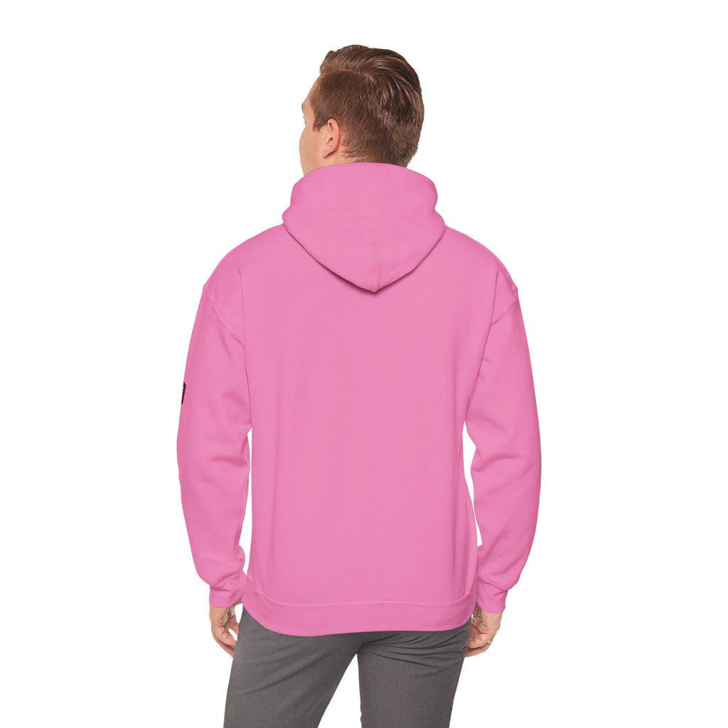 Unisex Prism Diamond "Let There Be Light" Hoodie | Rainbow Spectrum Prism Hooded Sweatshirt