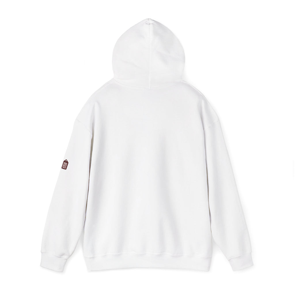 Unisex Prism Diamond "Let There Be Light" Hoodie | Rainbow Spectrum Prism Hooded Sweatshirt